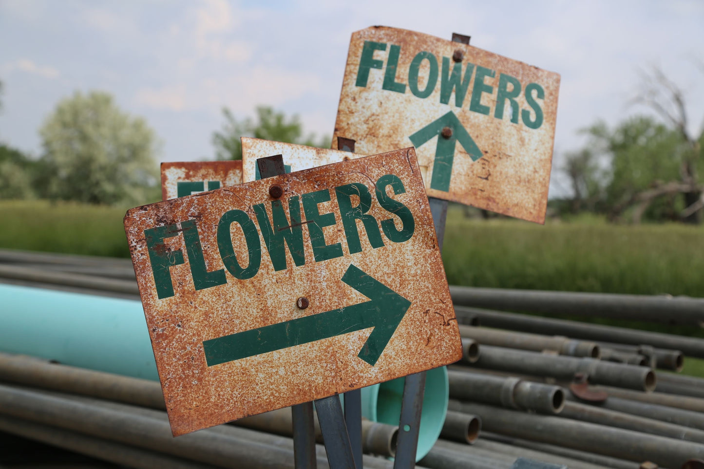 Flower Workshops