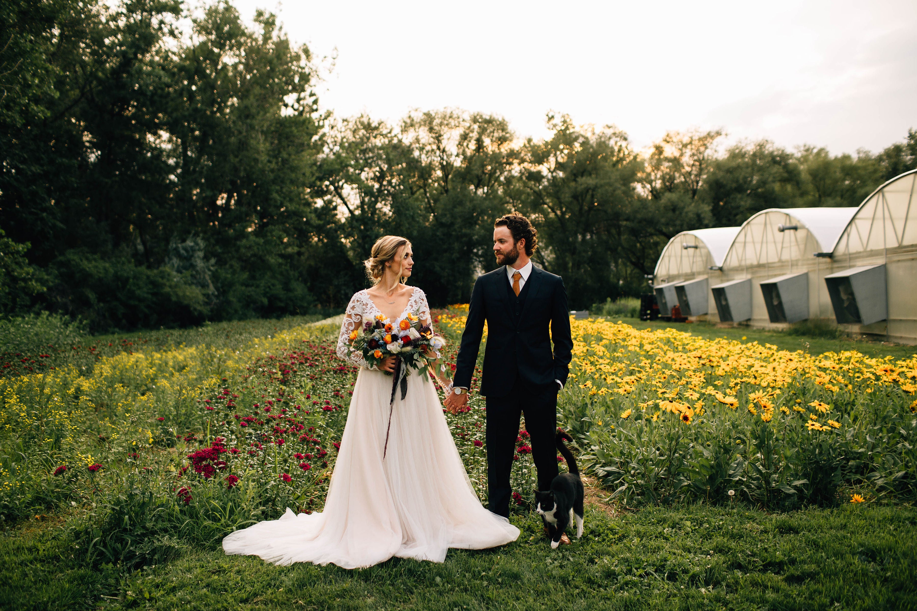 boulder-flower-farm-bride-and-groom-walking-with-cat-kim-mitiska-photography.jpg