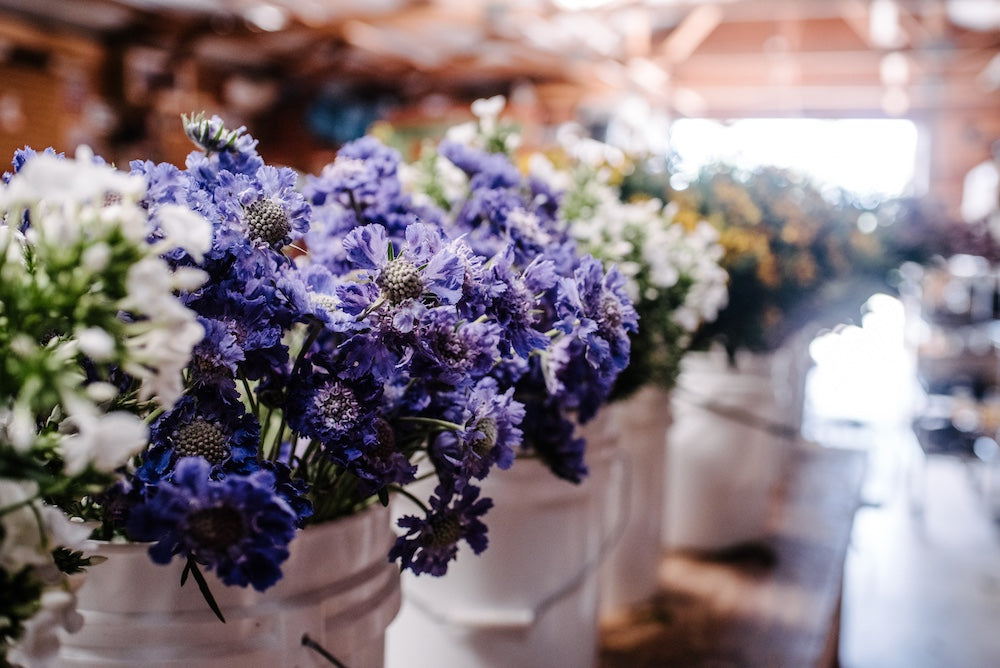 Wedding & Event Flowers