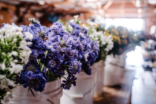 Wedding & Event Flowers