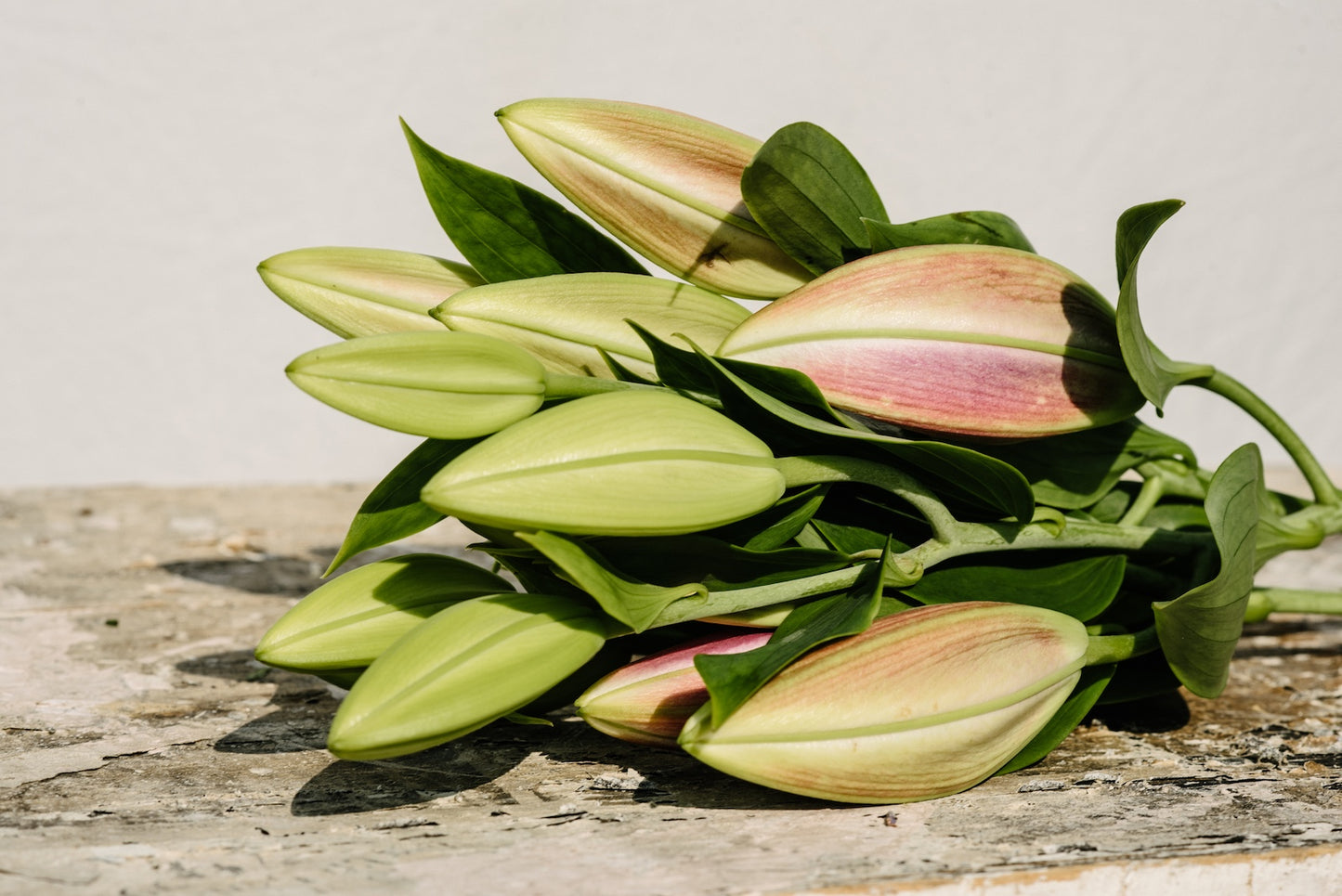 bunch-of-oriental-lilies-from-boulder-flower-farm.jpg