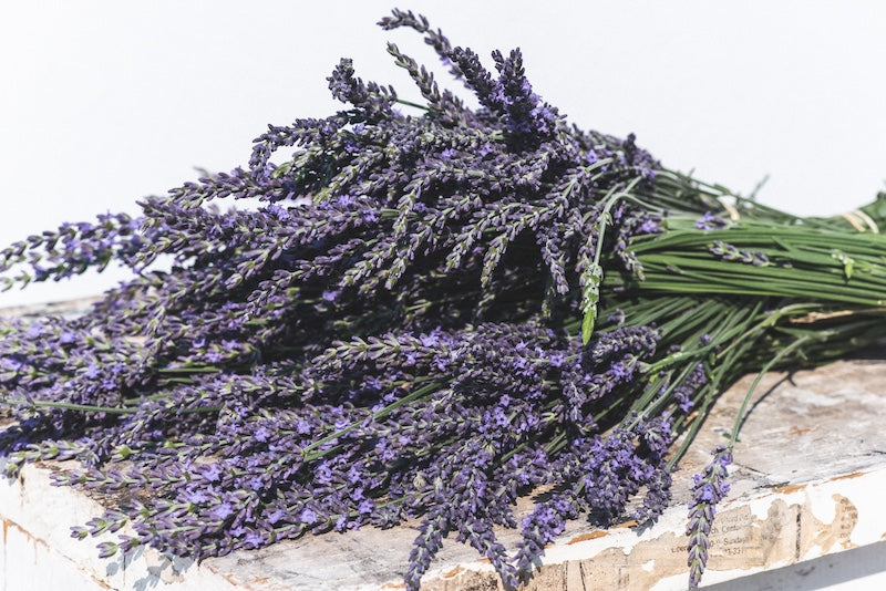 Lavender
