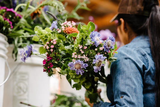 late-july-bouquet-making-at-boulder-flower-farm.jpg