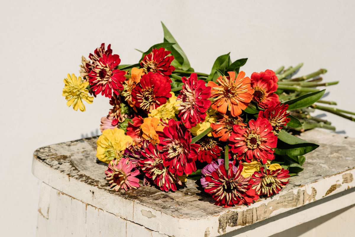 Wedding & Event Flowers