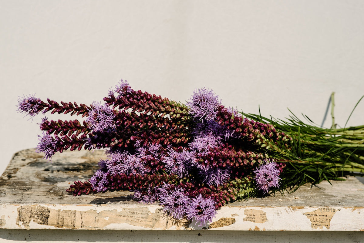 Wedding & Event Flowers