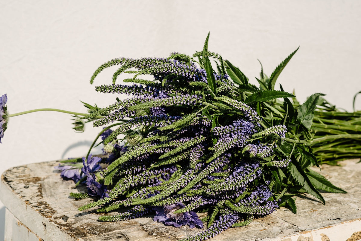 Wedding & Event Flowers