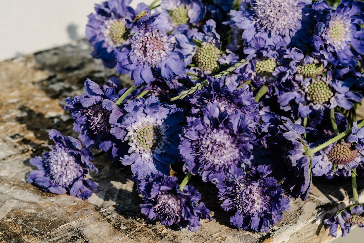 Wedding & Event Flowers