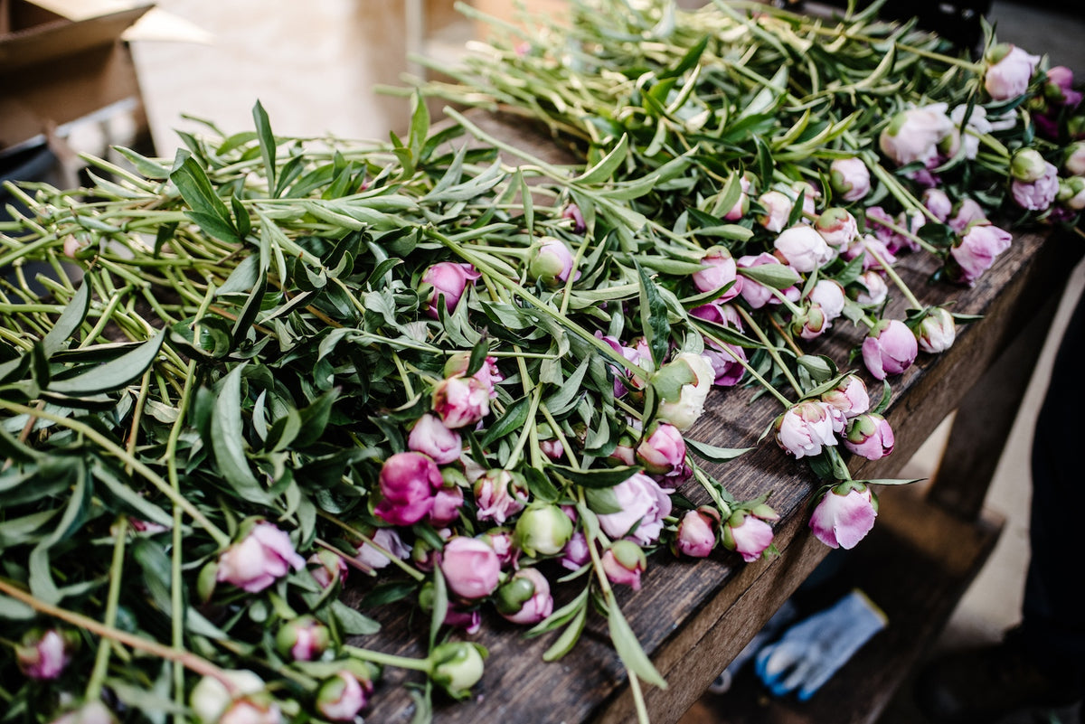 Wedding & Event Flowers