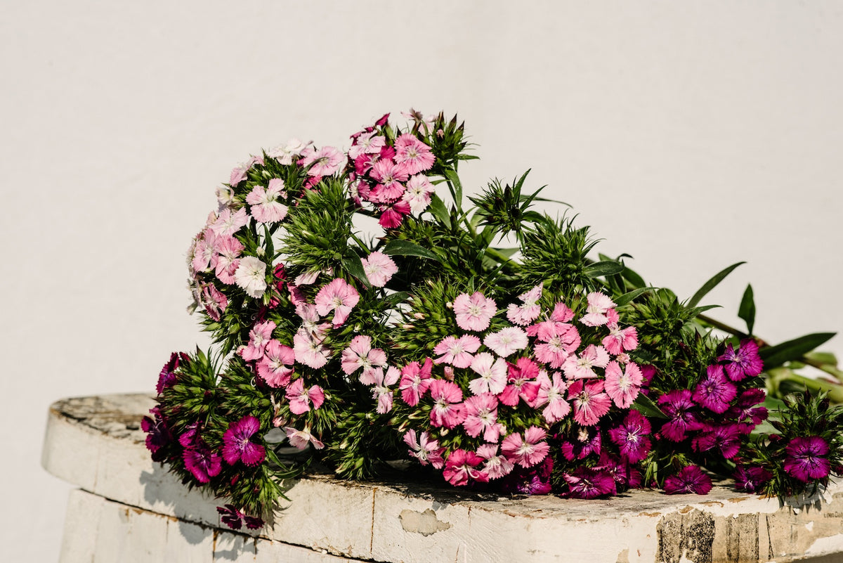 Wedding & Event Flowers